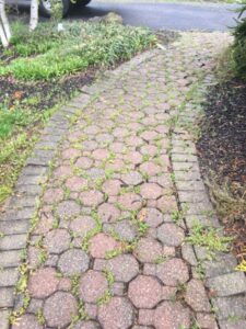 Licenced paving & masonry experts in New Jersey